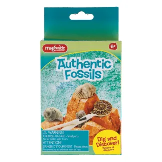 Dig and Discover Authentic Fossils by Magnoidz