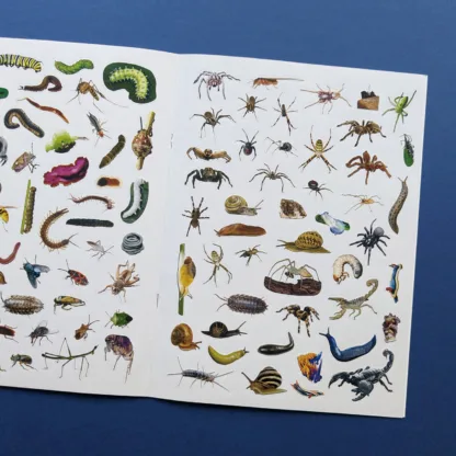 Discover Bugs Sticker Book by Wonders of Learning