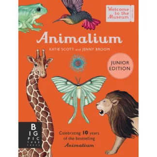 Animalium Junior by Welcome to the Museum