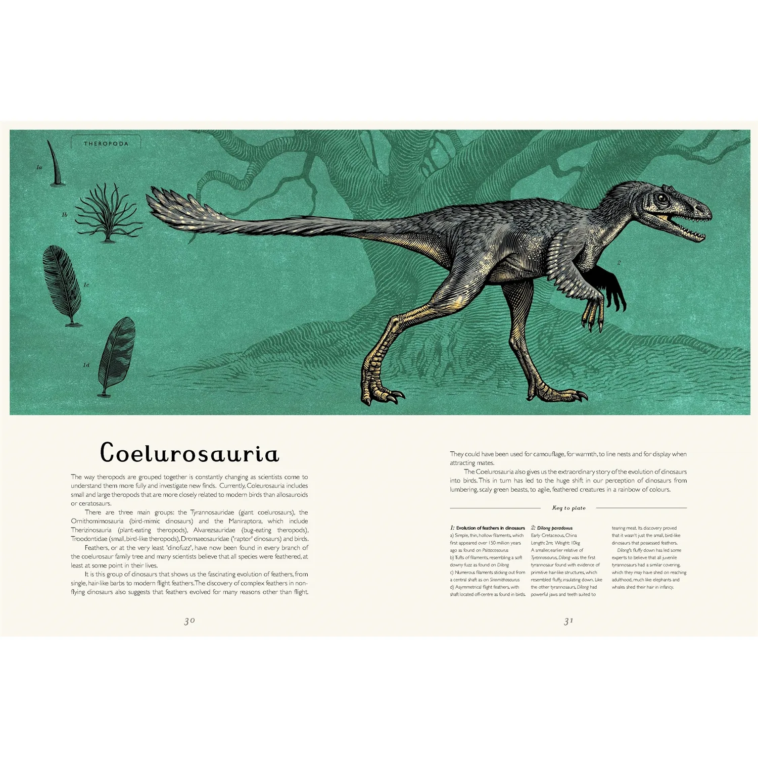 Dinosaurium by Welcome to the Museum