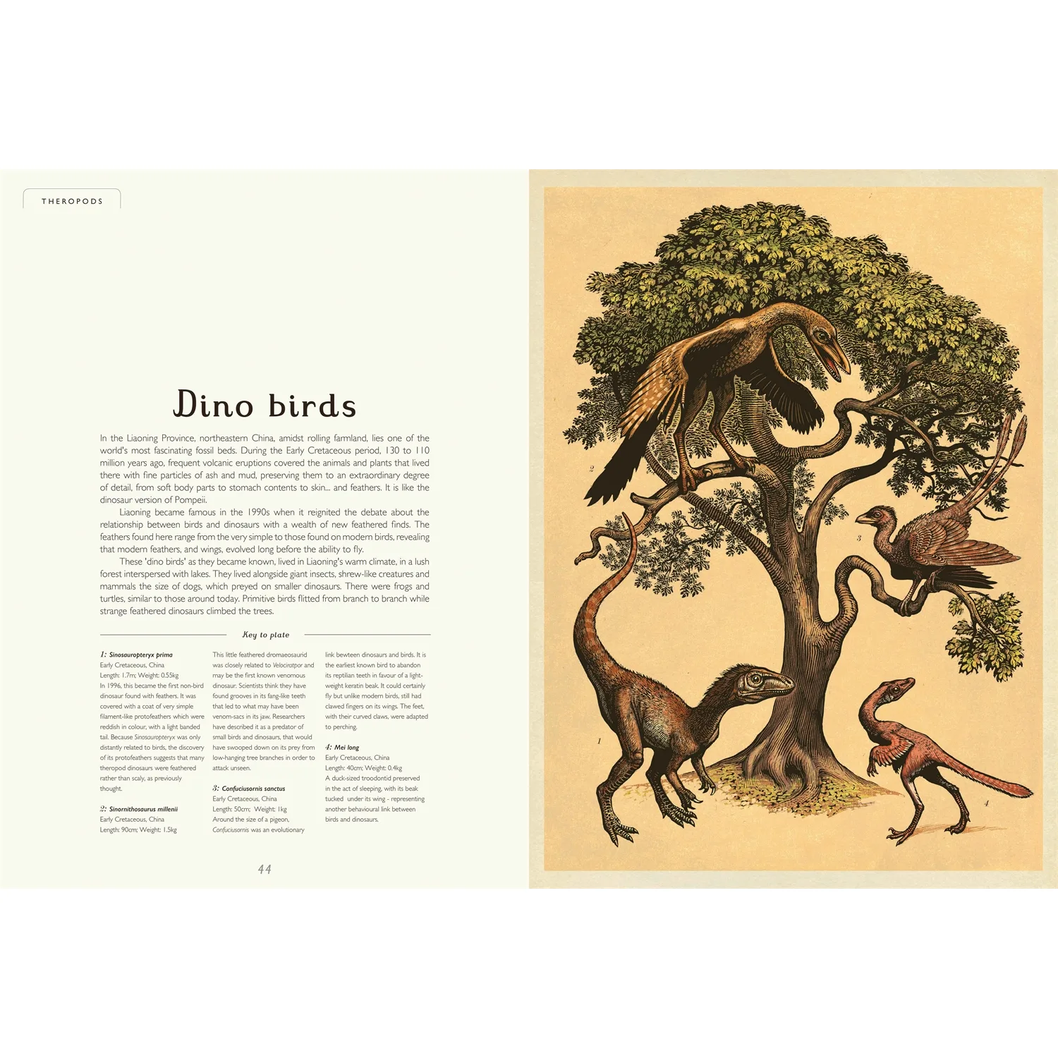 Dinosaurium by Welcome to the Museum