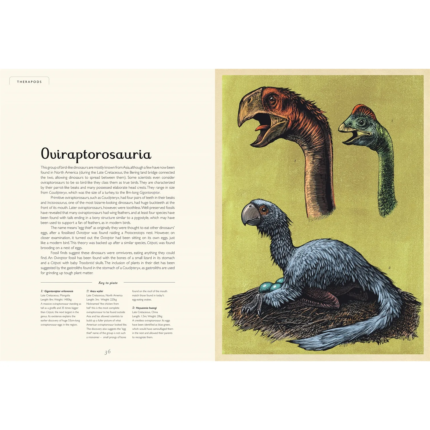 Dinosaurium by Welcome to the Museum