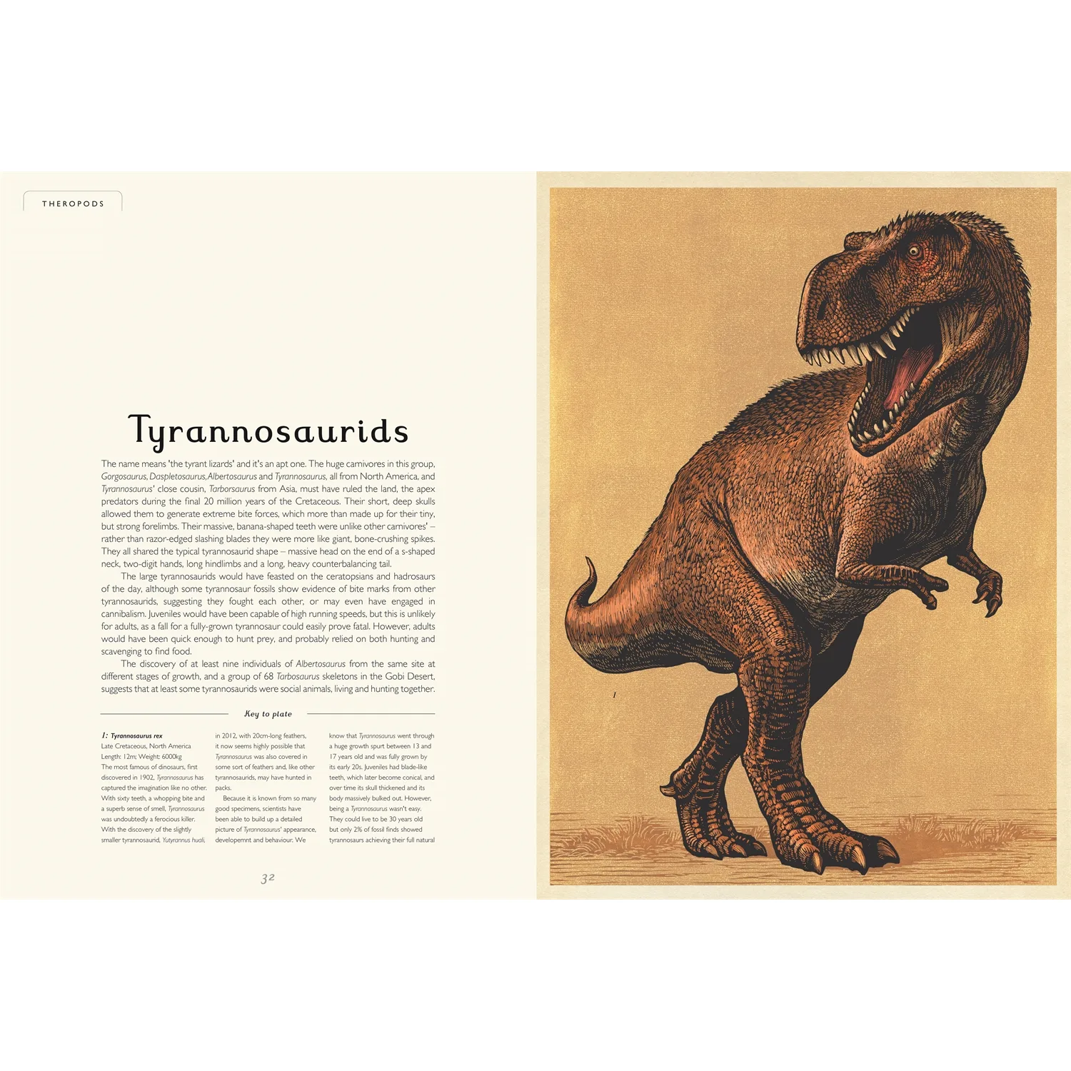 Dinosaurium by Welcome to the Museum