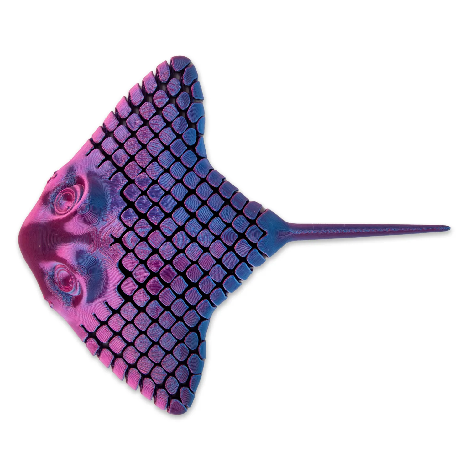 3D Printed Stingray by HGL